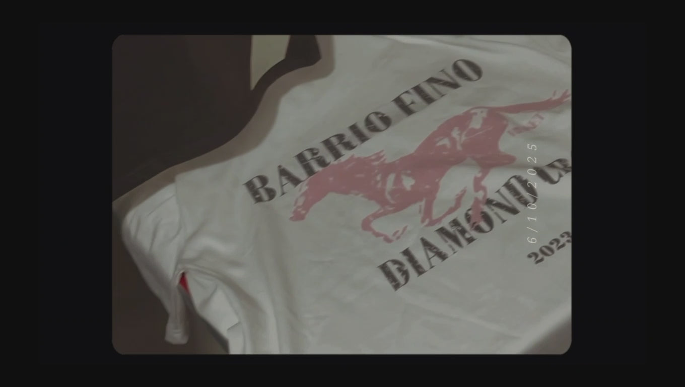 Cargar video: 